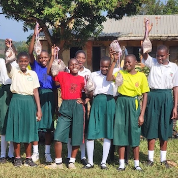 SAG Kit Distribution image showing Kiwumpa Primary School girls receiving 198 kits in Kigombe, Uganda on Aug 4, 2026