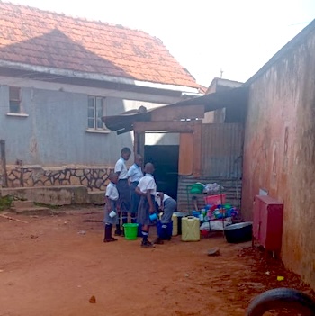 Kitchen and yard