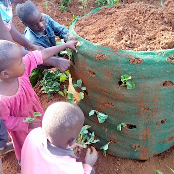 TGUP Project: Food Production in Tanzania